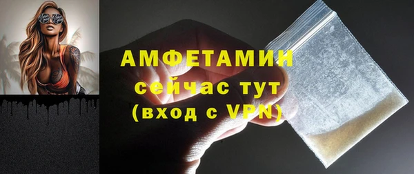 PSILOCYBIN Алагир