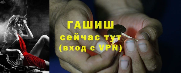 индика Юрга