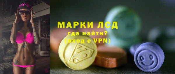 PSILOCYBIN Алагир