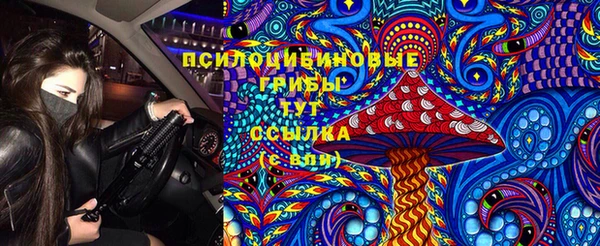 PSILOCYBIN Алагир