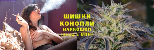 стафф Анжеро-Судженск
